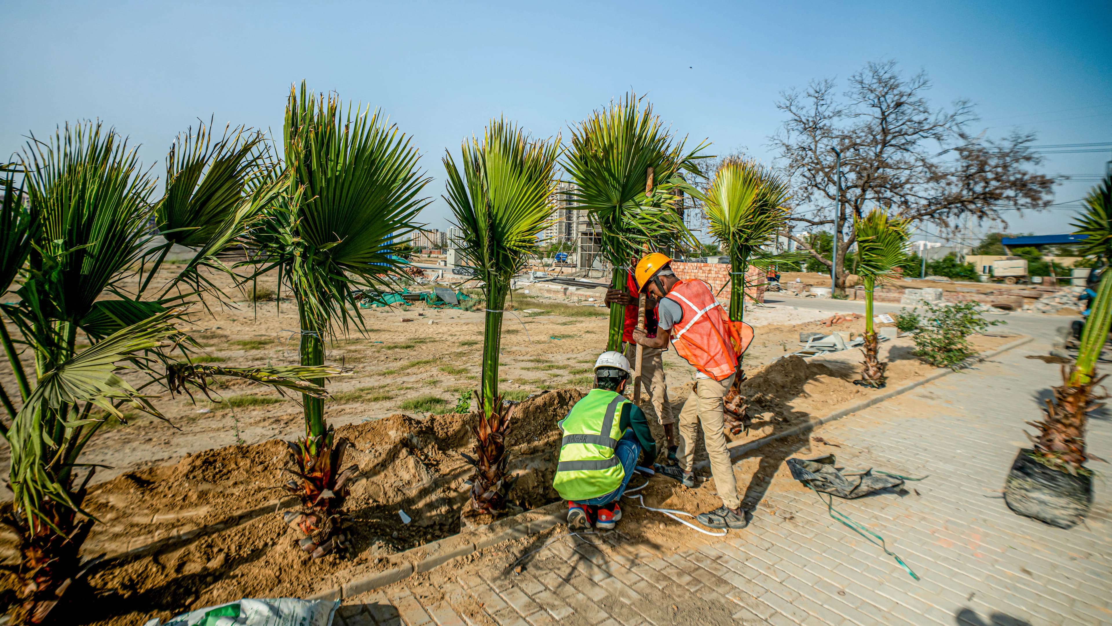 Tatva Estates: photo 14